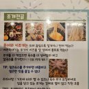 광주 수완지구 맛집 오아시스조개 수완본점 솔직후기