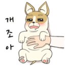 키즈필키즈카페 이미지