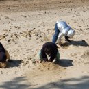 크린업세탁 완도3호점 | 9박10일 남쪽여행. 땅끝송호해수욕장에서 고운모래놀이 와 완도에서 코인세탁 후 명사십리오토캠핑장