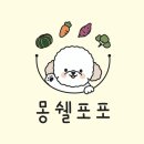 몽쉘포포 | 대전유천동::강아지 미슐랭 간식집 “몽쉘포포” 찐~ 후기