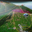 금양주유소 이미지