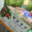 백년 농장 이미지