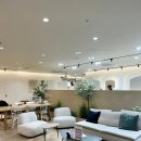 데이지케어 이미지