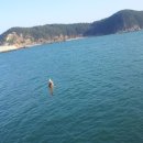 서해바다낚시