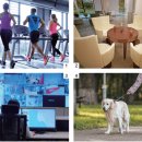 월곶초병설유치원 이미지