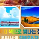 (주)브이아이피여행사