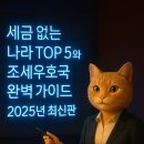 세원컴퍼니 | 세금 없는 나라 TOP 5와 조세우호국 완벽 가이드 2025년 최신판