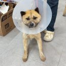 24시부천할인마트 이미지