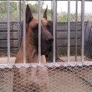 유일한농장 이미지