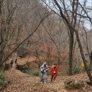 오리면 돼지 이미지