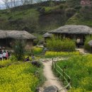 용이네집 이미지