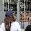 장관빌라 이미지