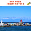 끼룩 스튜디오 | 뚜벅이 묵호여행 가볼만한곳 추천 TOP 5 (맛집 포함)