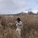 일월세탁소 이미지