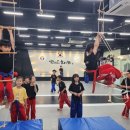 합기도 을지관 총본관 이미지