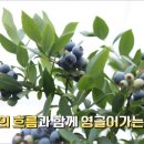 태순농장 이미지