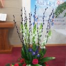 대부영광교회 이미지