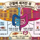 낭만수컷 동아사이언스