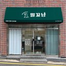 대구 고양이 미용 밀꼬냥 | 대구 고양이 미용 “밀꼬냥” 무마취 미용 후기