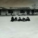 종환농장 이미지