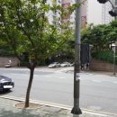 자이김밥 이미지