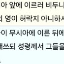 아우투스 이미지