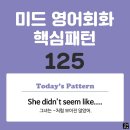 [중급편 125] 'She didn't seem / like + 명사'(그녀는 (명사)처럼 보이진 않았어) 이미지