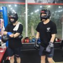 앨바트로 복싱 이미지