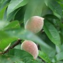 동활리마을회관 이미지