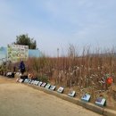 자연농원 이미지