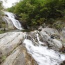 소나무(산촌마을) 이미지