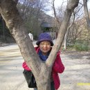 예쁘게뜨게 Daum카페