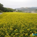 금서면사무소 이미지