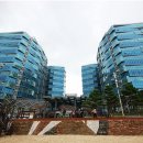 팔레드시즈 이미지