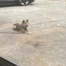 씨유 여수전대점 | 오랜만에 일상 모아 봄