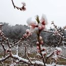 이경민농장 이미지