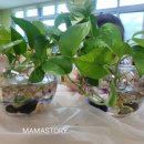 평택지산초등학교병설유치원 이미지