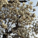 그달아래 이미지