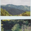 꽃피는산꼴 이미지