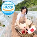 영양우체국 이미지