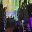 우림메디칼 | [여수 민선생] 한화 아쿠아플라넷 여수, 이렇게 살아있다!