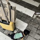 위드멍 애견유치원 이미지