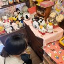 화르곰 이미지