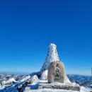 [산행공지] 함백산 1,572m 겨울 눈꽃산행 이미지