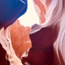 사마리아한의원 이미지