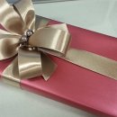 금산 캔넬 이미지