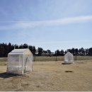 은하수목장 이미지