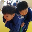 용인대 불당 유도관 이미지