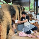 명지대학교 박물관 이미지