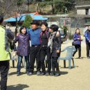 서운초등학교 티스토리
